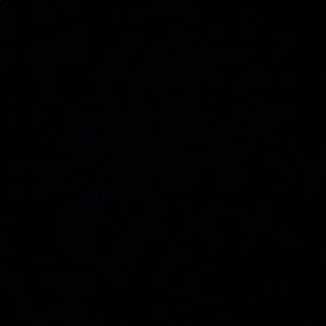 Meet your Posher, Allie